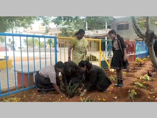 Environment Day